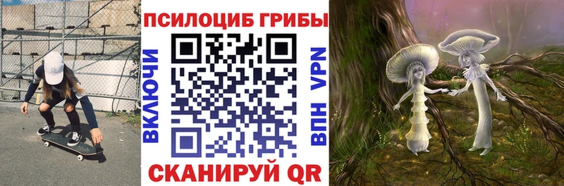закладки  Сельцо  Псилоцибиновые грибы Psilocybe 